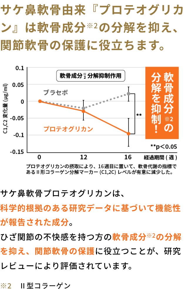 サケ鼻軟骨由来『プロテオグリカン』は軟骨成分の分解を抑え、関節軟骨の保護に役立ちます。